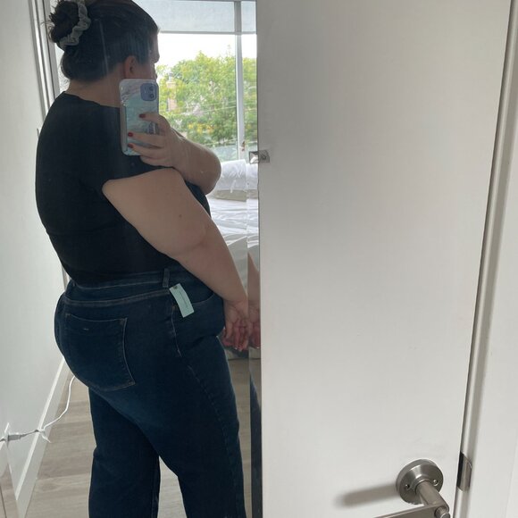 Anthropologie Annie High-Rise Straight-Leg Jeans by Pilcro, Size 20W - Picture 2 of 7